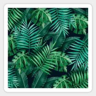 Palm leaves Pattern Magnet